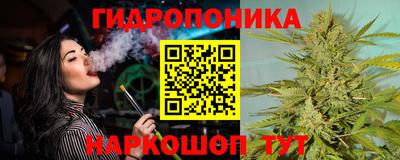 a pvp Гагарин
