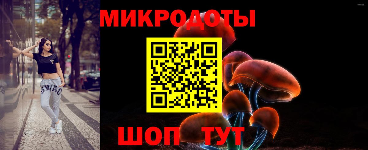 Псилоцибиновые грибы Psilocybine cubensis  Вход с VPN  Псков 